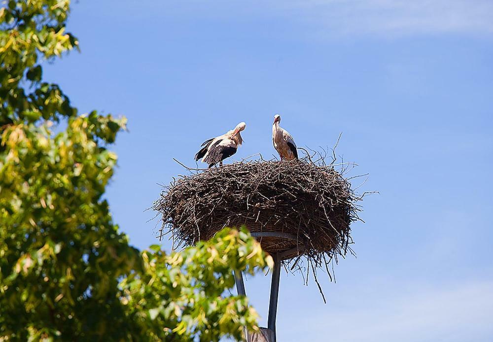 Spreewaldpension Andreas Krueger Schlepzig Ngoại thất bức ảnh
